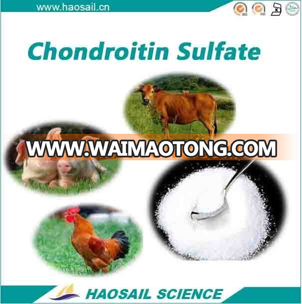 GMP Factory Price High Quality China Chondroitin Sulfate